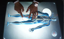 Medical